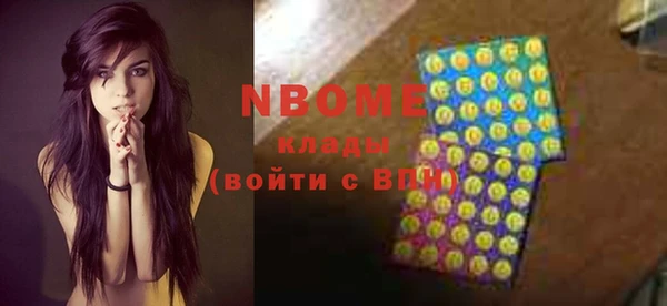 бошки Пересвет