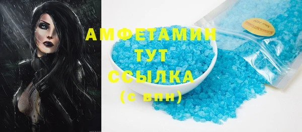 индика Пестово