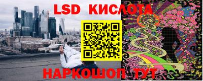 ПСИЛОЦИБИНОВЫЕ ГРИБЫ Дмитров