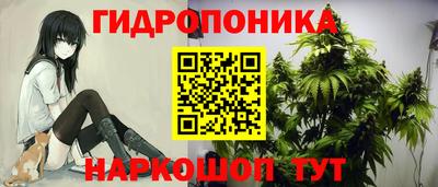 гашик Добрянка