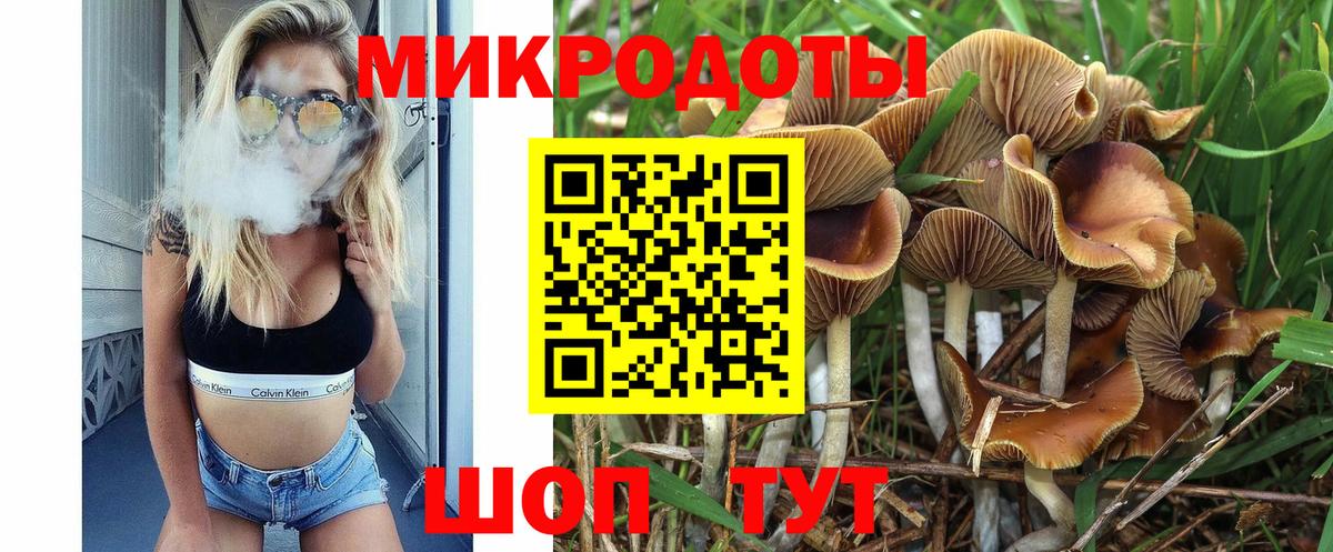 Саки  Галлюциногенные грибы мицелий  Вход с VPN 