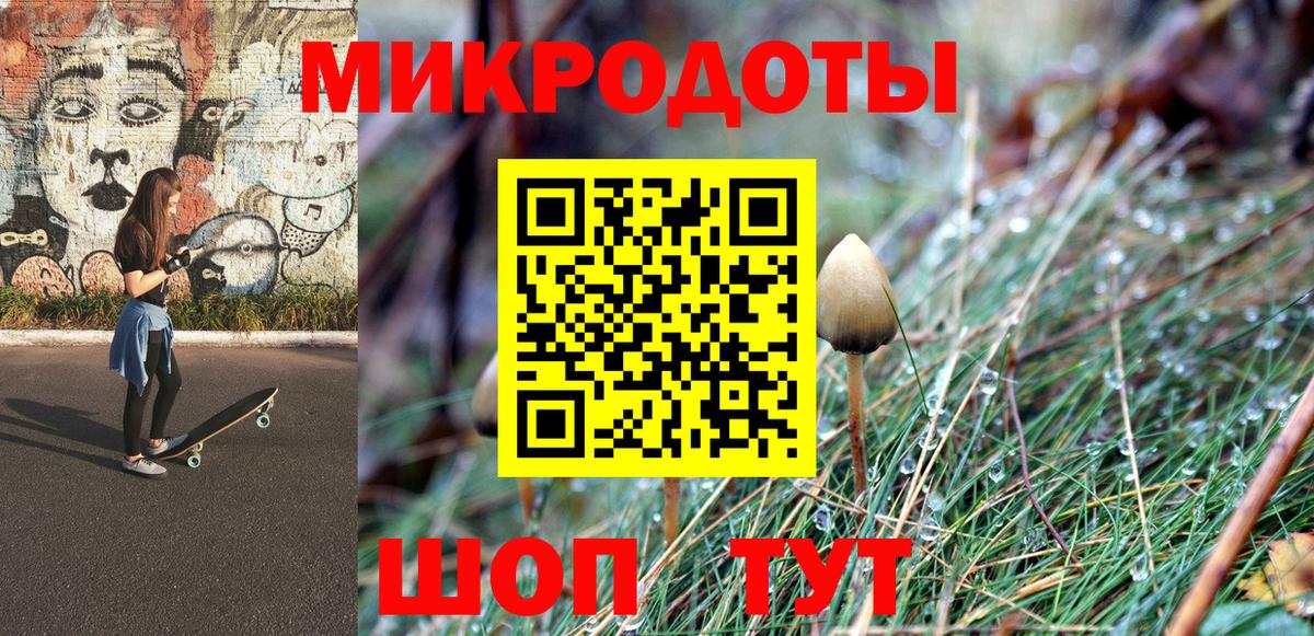 Псилоцибиновые грибы Psilocybine cubensis Саки